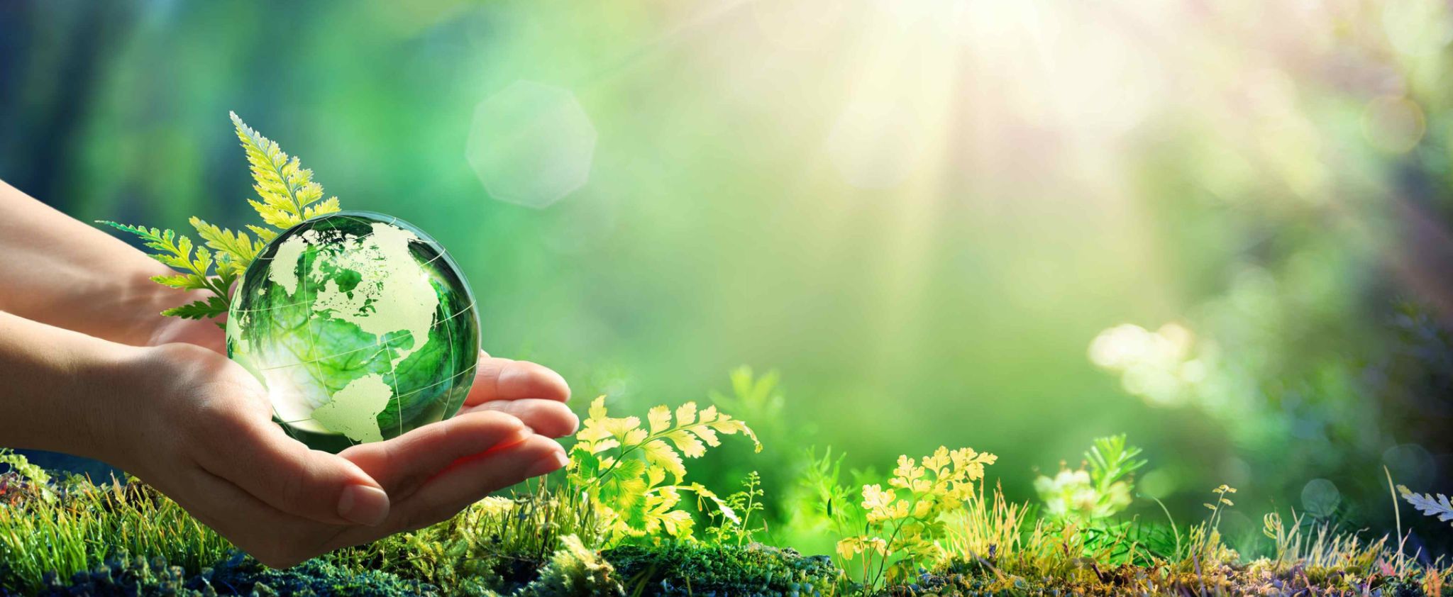 Thiết kế chưa có tên 5